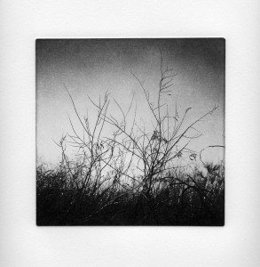 Sticks and Stones 27 